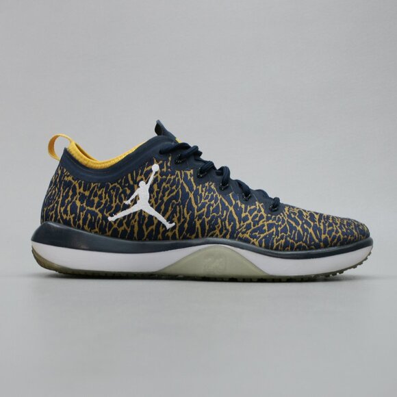Nike Men's 9 Jordan Trainer 1 Low Michigan Wolverines Shoes Sneakers 845403-420 - Picture 4 of 12